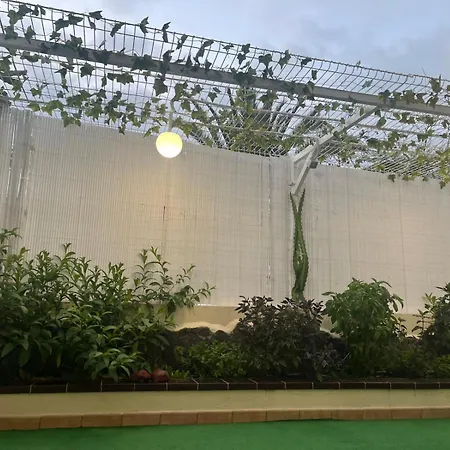 Dinastia1rbha דירה *