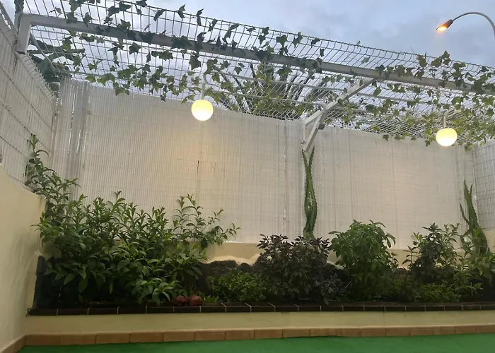 Dinastia1rbha דירה *